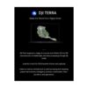 DJI Terra