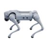 go2-gallery-01 Unitree Go2 Quadruped Robot