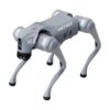 go2-gallery-03 Unitree Go2 Quadruped Robot