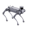 Unitree B2 Industrial Quadruped Robot