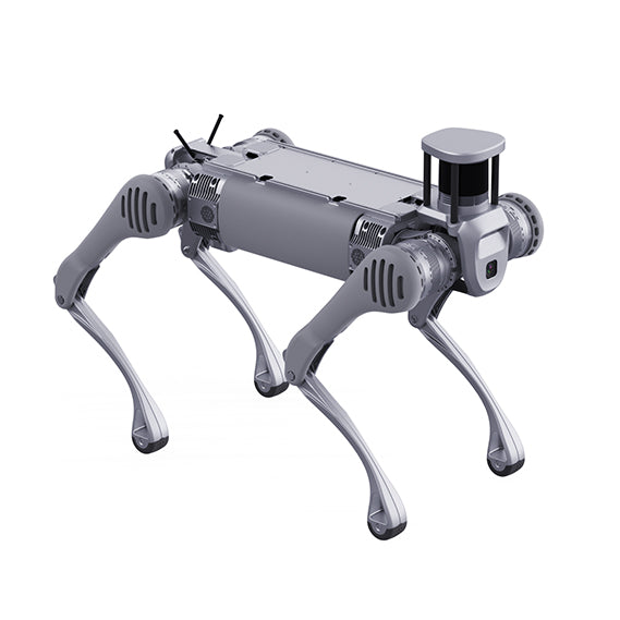 Unitree B2 Industrial Quadruped Robot
